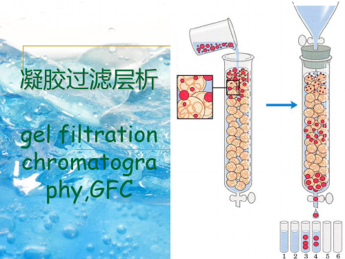 凝胶过滤层析ppt课件