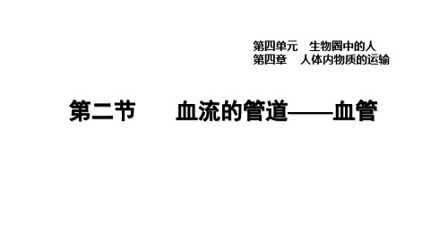 人教版七年级生物下册第四单元第4章习题课件4.4.2 血流的管道——血管