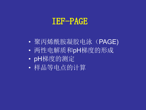 5、IEF-PAGE