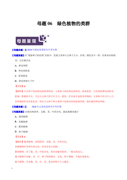 《中考真题》专题06 绿色植物的类群-2019年中考生物母题题源系列(解析版)