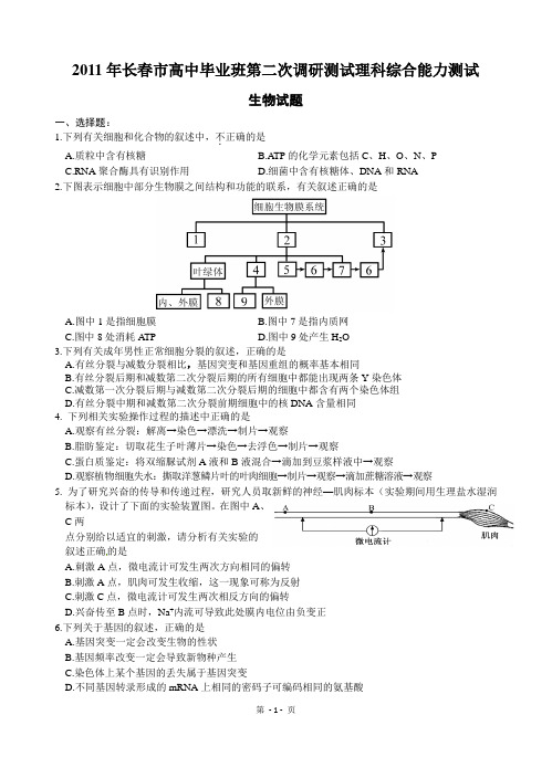 2011年长春市高三第二次调研考试(生物试题)