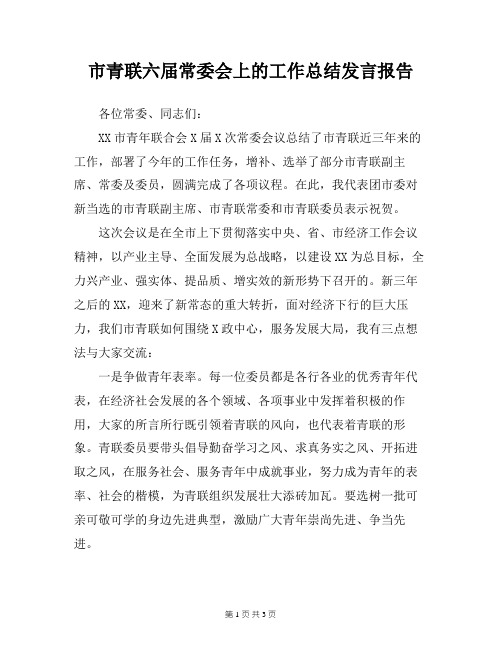 市青联六届常委会上的工作总结发言报告