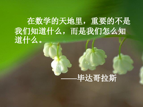 异分母分式加减法讲义