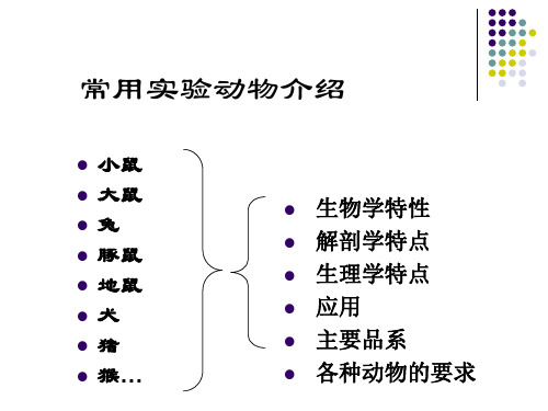 常用实验动物