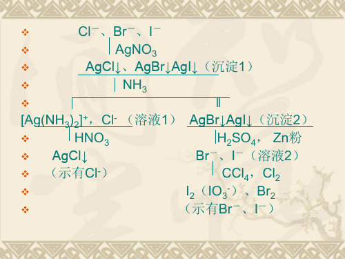 八离子分离与鉴定