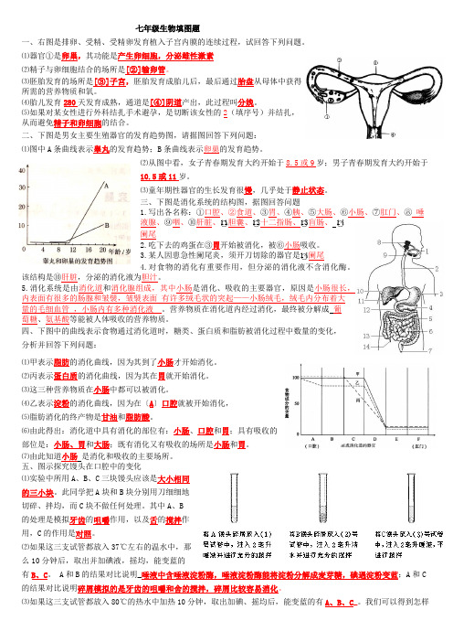 七年级生物填图题