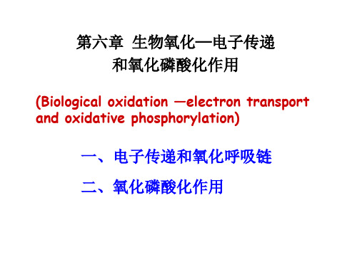 8电子传递与氧化磷酸化