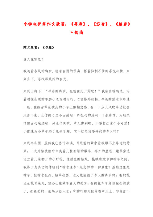 小学生优秀作文欣赏:《寻春》、《迎春》、《踏春》三部曲