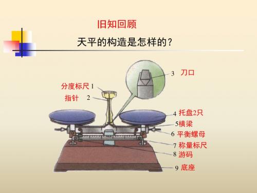 学习使用天平和量筒   王玉