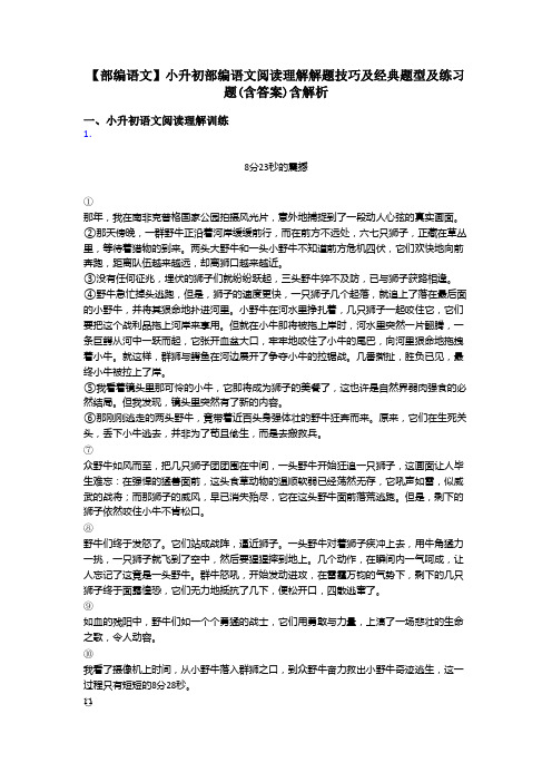 小升初【部编语文】小升初部编语文阅读理解解题技巧及经典题型及练习题(含答案)含解析