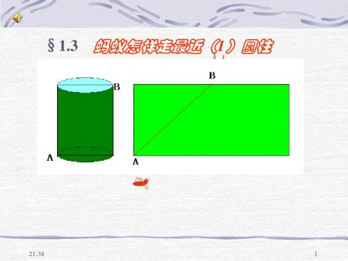 1.3 蚂蚁怎样走最近(第一课时 圆柱)