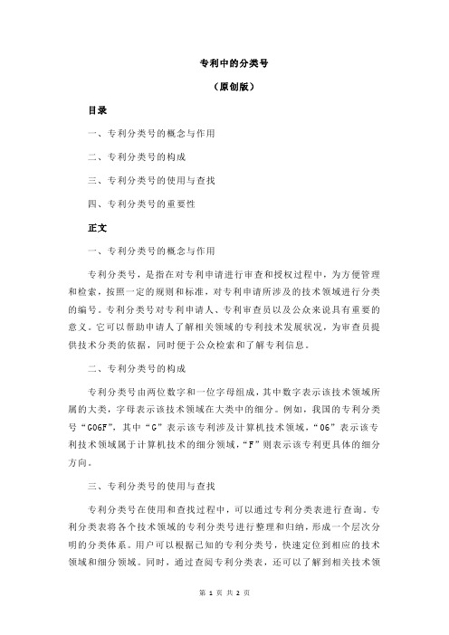 专利中的分类号