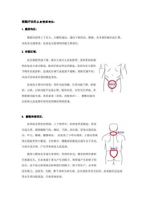 根骶疗法的主要调理部位