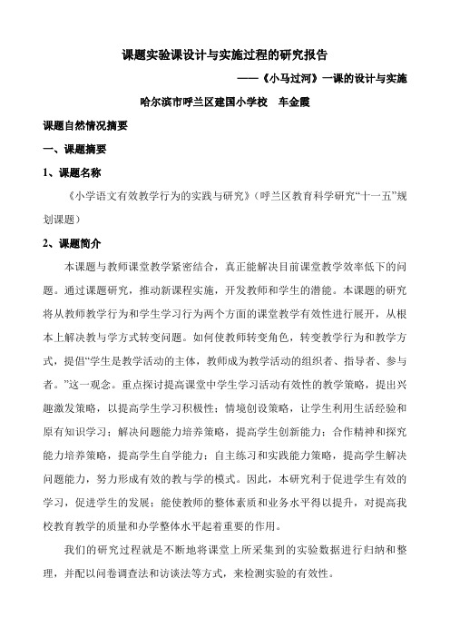 课题实验课设计与实施过程的研究报告车金霞