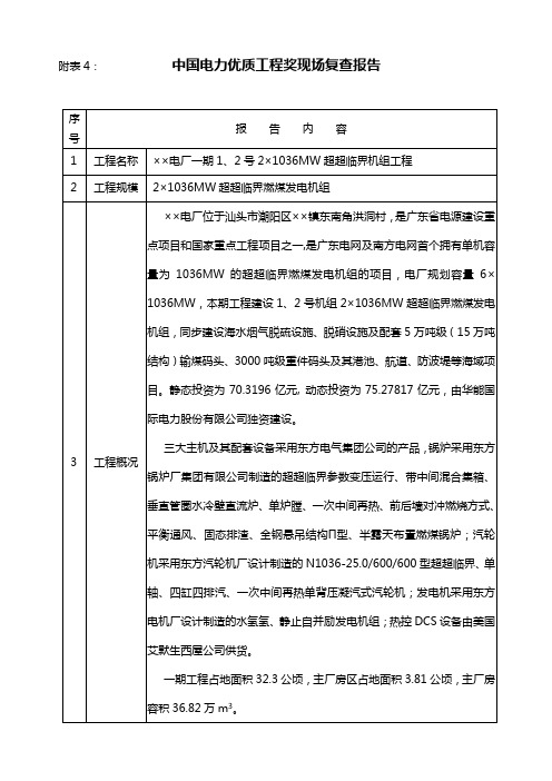 电力行优程现场复查报告(表格版范本)