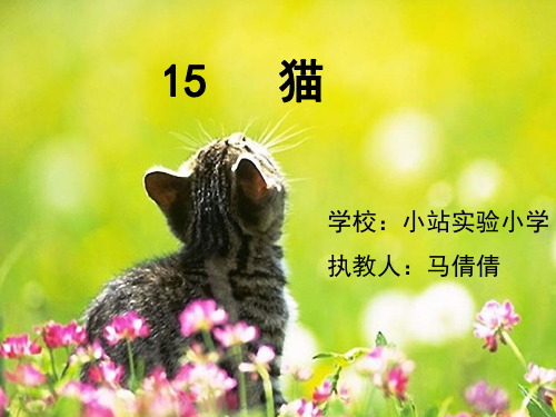 老舍《猫》第二课时