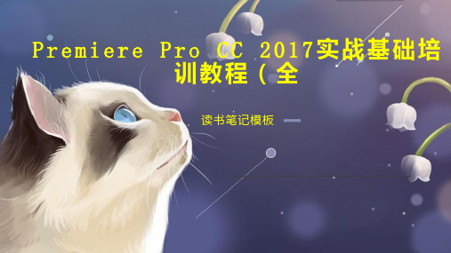 Premiere Pro CC 2017实战基础培训教程(全