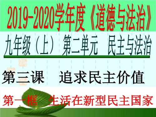 人教版道德与法治九年级上册3.1 生活在新型民主国家 习题课件 (共24张PPT)