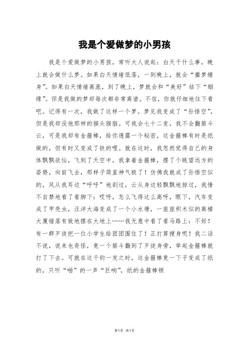 我是个爱做梦的小男孩_高二作文