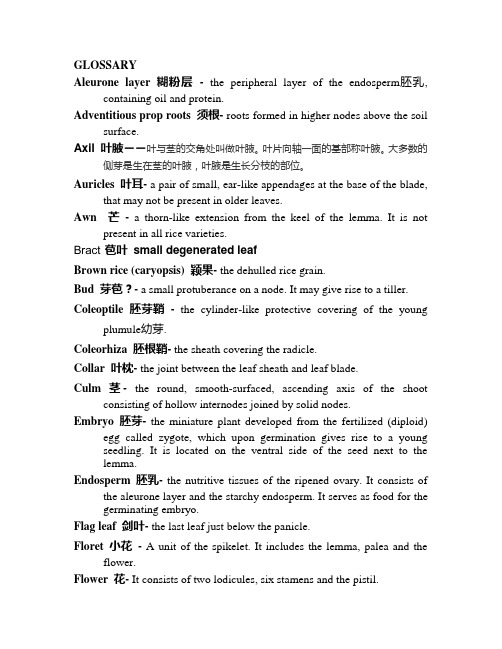 水稻术语表