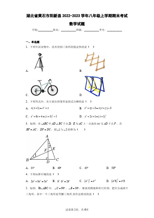 湖北省黄石市阳新县2022-2023学年八年级上学期期末考试数学试题(含答案解析)