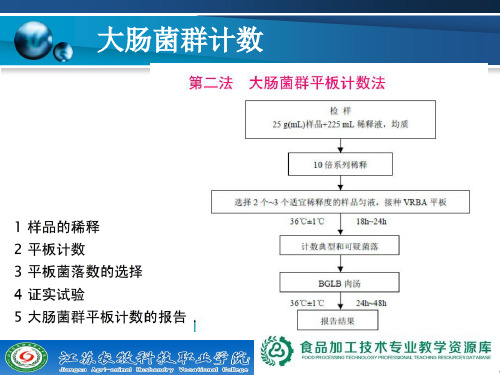 食品大肠菌群的测定(平板计数法).