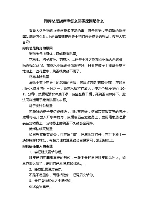 狗狗总是挠痒痒怎么回事原因是什么