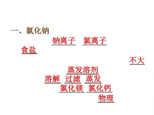 九年级化学生活中常见的盐2(2)