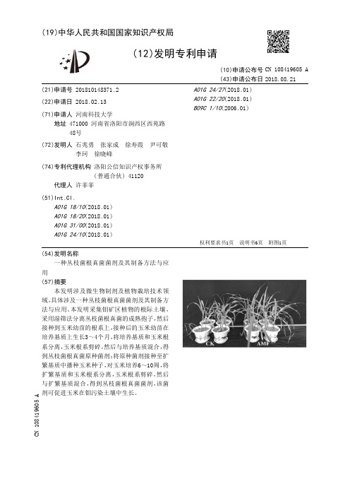 一种丛枝菌根真菌菌剂及其制备方法与应用[发明专利]