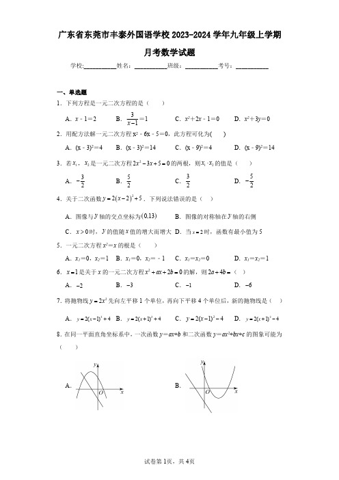 广东省东莞市丰泰外国语学校2023-2024学年九年级上学期月考数学试题