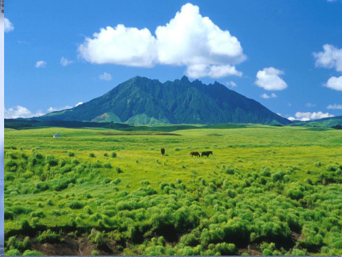 七年级生物课件_视觉器官——眼睛