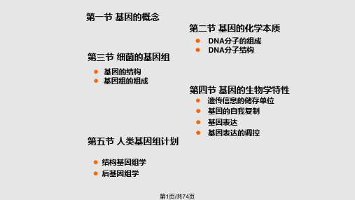 第一篇医学遗传学基础人类基因和基因组PPT课件