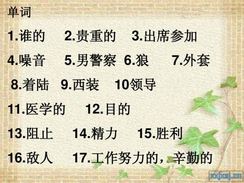 2015新目标九年级英语unit8复习课件