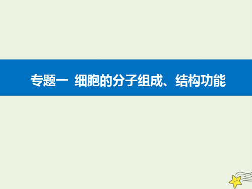 2021高考生物二轮复习专题一细胞的分子组成结构功能考点二细胞的分类结构与功能课件