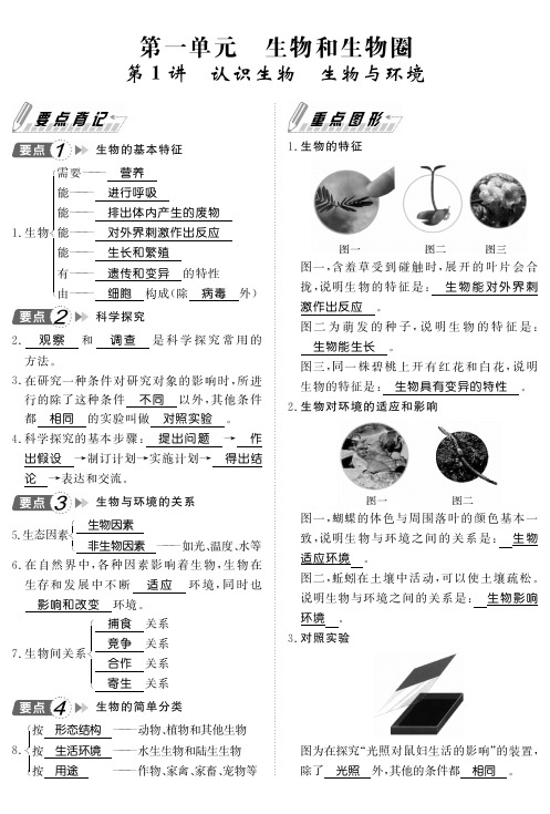 人教版生物七年级上册知识要点背记