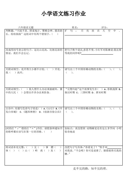 小学六年级语文拓展训练 (9)