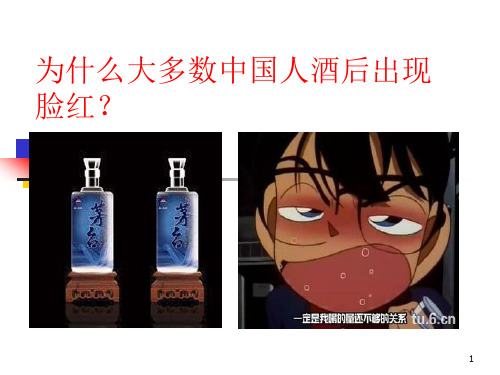 乙醛脱氢酶ppt课件