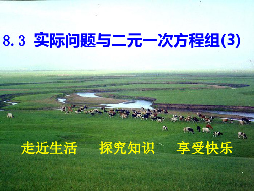 实际问题与二元一次方程组(2)