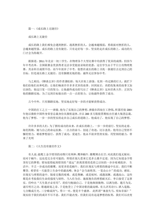 作文成长的路上没有捷径500字