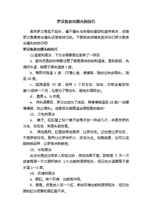 罗汉鱼养出爆头的技巧