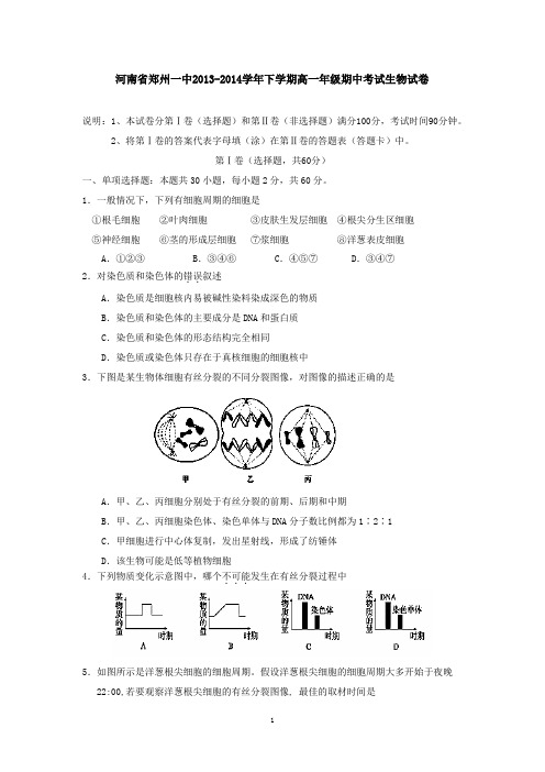 河南省郑州一中2013-2014学年下学期高一年级期中考试生物试卷