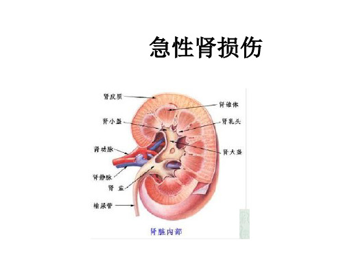 AKI急性肾损伤简介