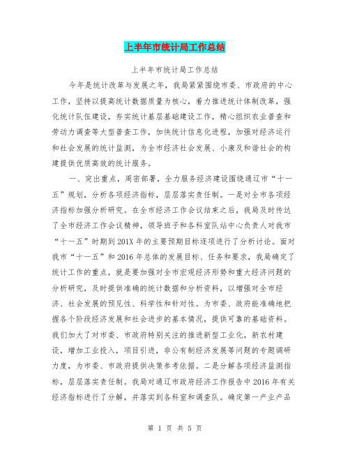 上半年市统计局工作总结