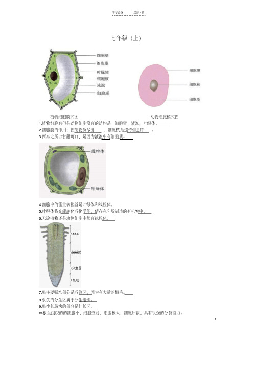 【优质文档】生地会考复习资料初中生物图集(附题目)(人教版)