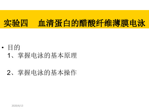 实验四  醋酸纤维薄膜电泳分离血清蛋白