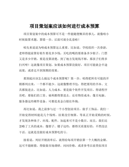 项目策划案应该如何进行成本预算