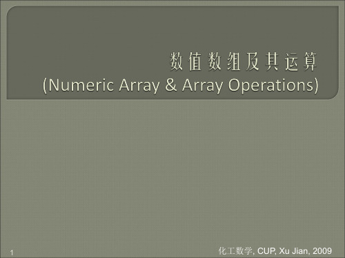 数值数组及其运算