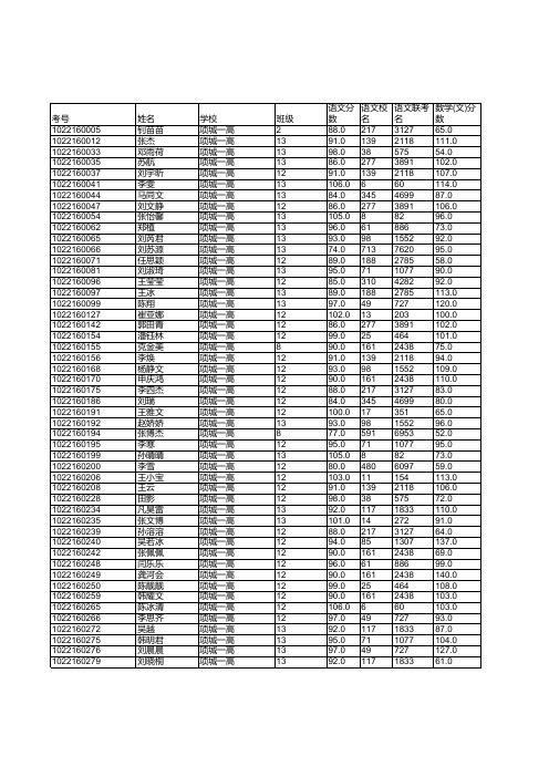 学校成绩排名表