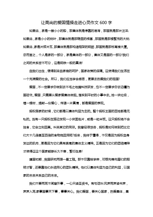 让高尚的爱国情操走进心灵作文600字