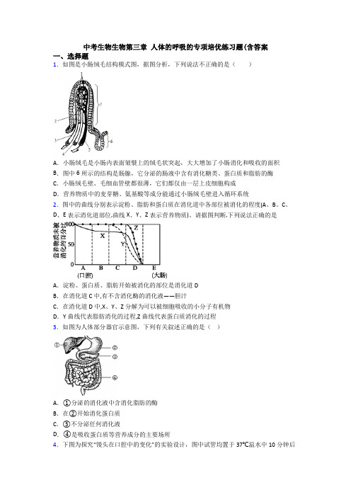 中考生物生物第三章 人体的呼吸的专项培优练习题(含答案